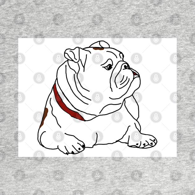 English bulldog by Noamdelf06